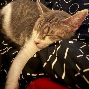 Meet your Posher, Quinnlyn